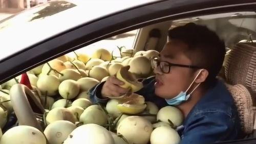 教练车上吃瓜,一起分享夏日瓜果乐