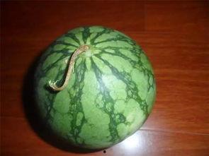 传熙吃瓜,揭秘娱乐圈幕后故事