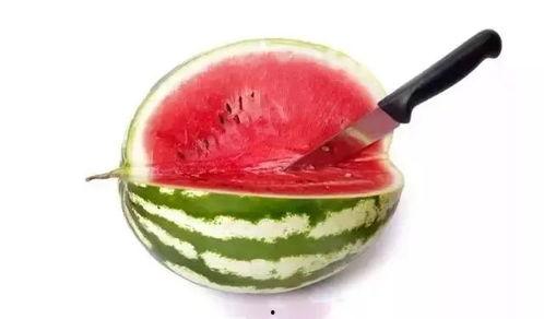 顶级豪门吃瓜,揭秘顶级豪门背后的吃瓜风云