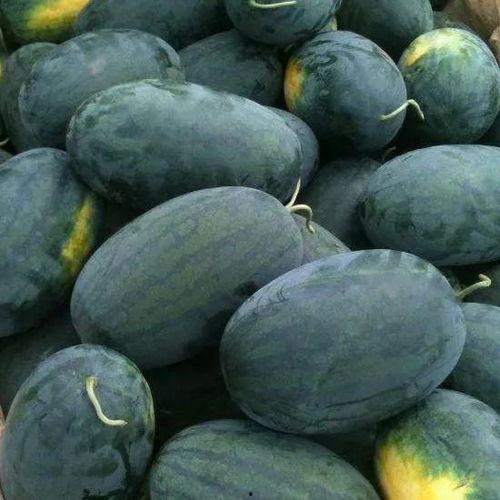 上海看瓜吃瓜事件